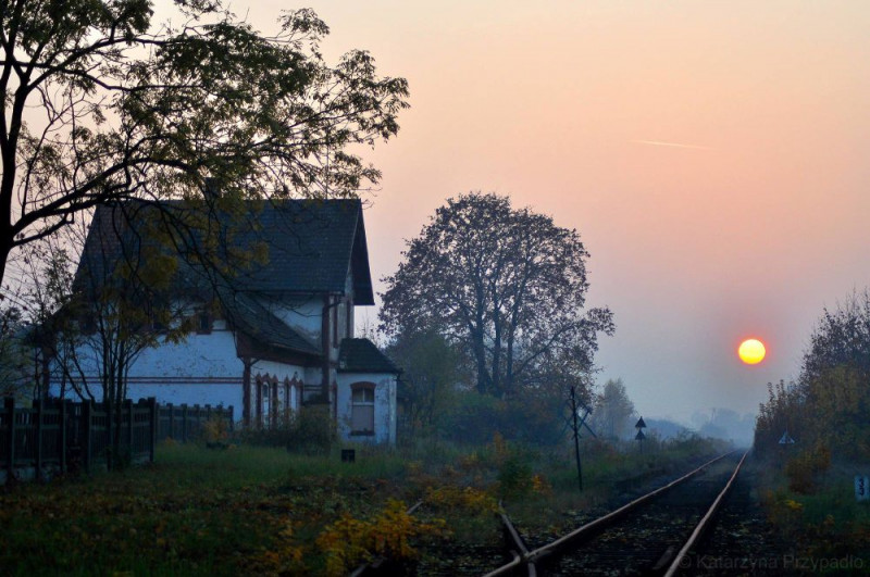 zdjęcie wyróżniające Dworzec w Raciborzu gotowy. Co z peronami i linią do Racławic Śląskich?