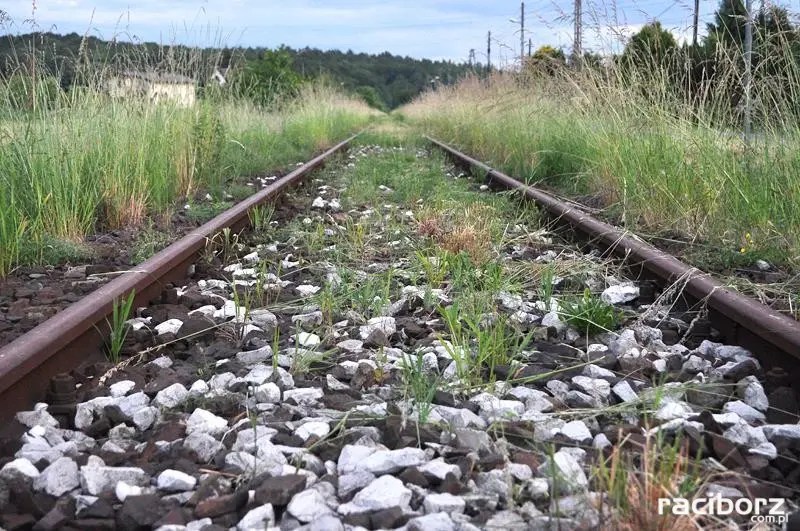 zdjęcie wyróżniające Droga zamiast torów? Likwidacja fragmentu linii kolejowej nr 176 coraz bliżej