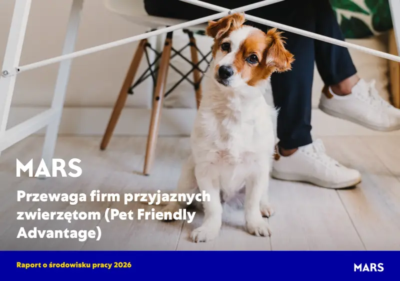 zdjęcie wyróżniające Czworonóg w biurze cenniejszy niż owocowe czwartki?