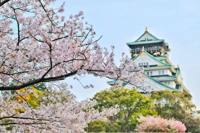 „Kultura Japonii w ciekawym stylu” na dworcu kolejowym w Raciborzu