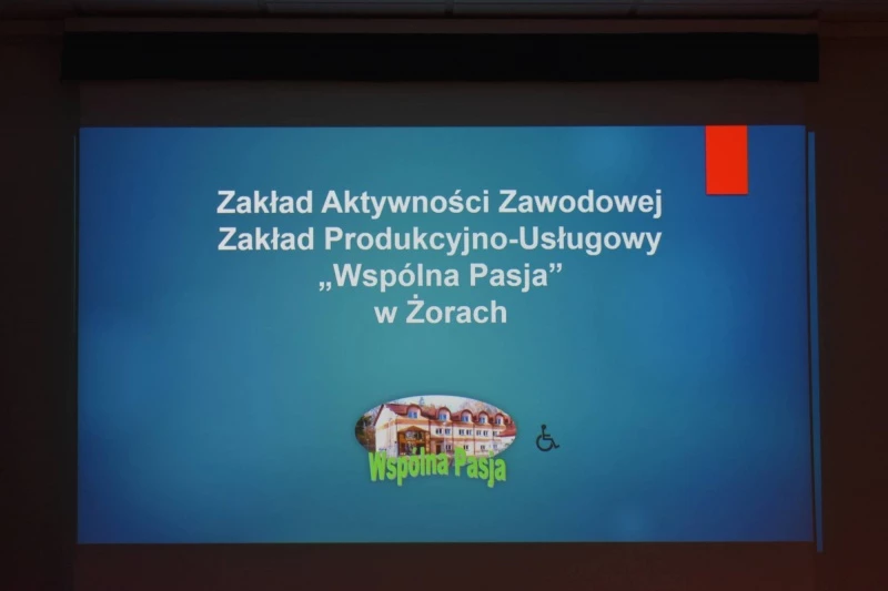 Konferencja „Niewidzialni – sytuacja dorosłych osób z niepełnosprawnością” — 13