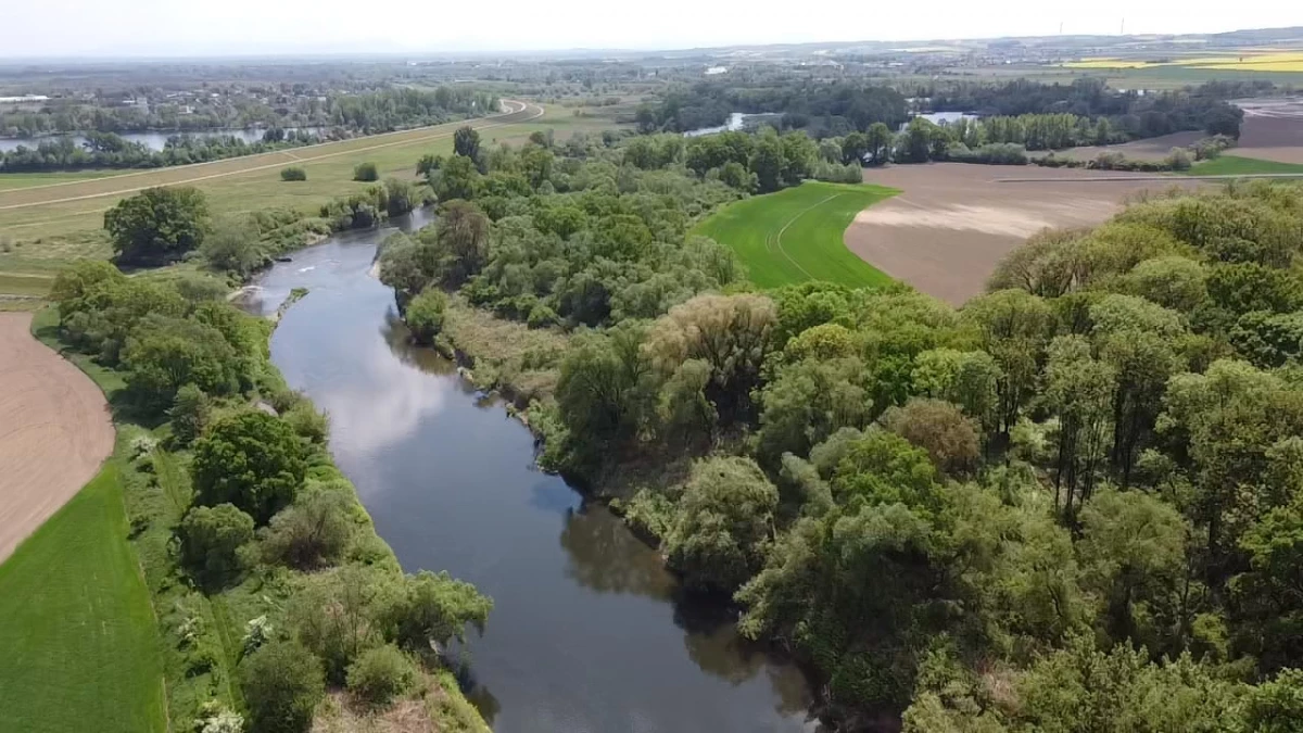 Akcja "Czysta Odra". Regionaliści śląscy sprzątali brzegi rzeki — 8