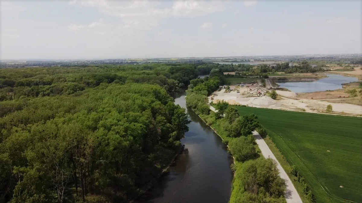 Akcja "Czysta Odra". Regionaliści śląscy sprzątali brzegi rzeki — 7