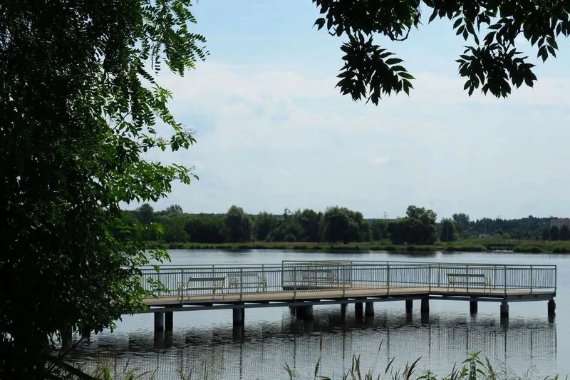 Pachnąco i kwitnąco, czyli lato na rybnickiej tężni — 12