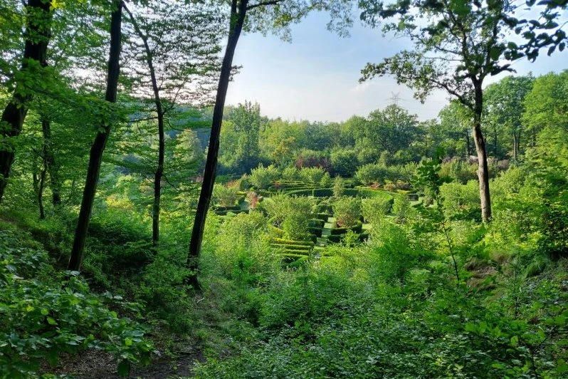 Racibórz gościł przedstawicieli Sieci Miast Zielonych — 19