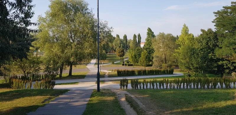 Racibórz gościł przedstawicieli Sieci Miast Zielonych — 23