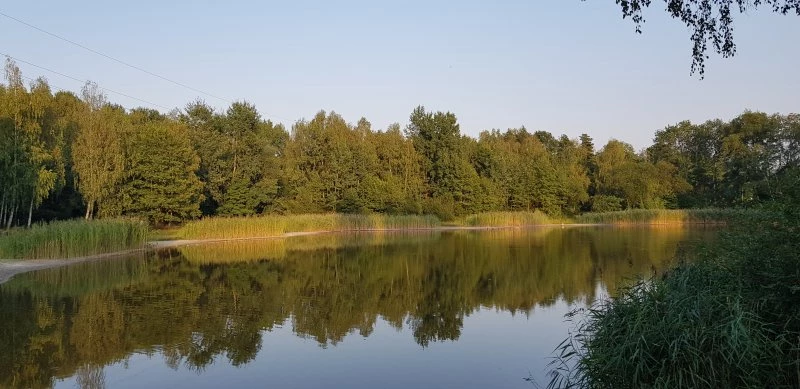 Racibórz gościł przedstawicieli Sieci Miast Zielonych — 20