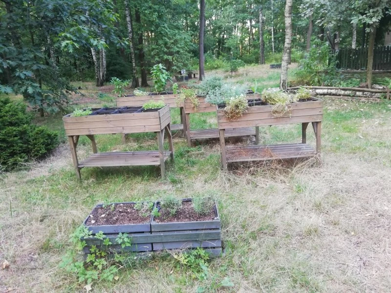 Racibórz gościł przedstawicieli Sieci Miast Zielonych — 27