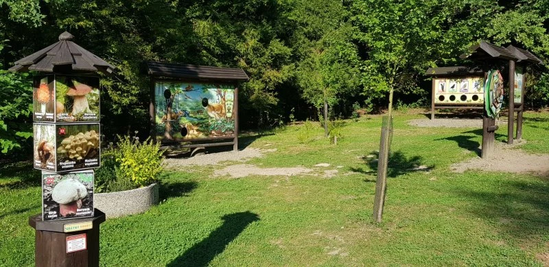 Racibórz gościł przedstawicieli Sieci Miast Zielonych — 3