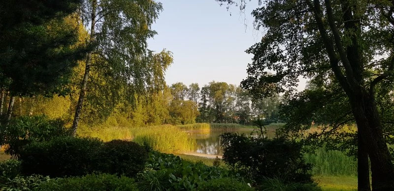 Racibórz gościł przedstawicieli Sieci Miast Zielonych — 22