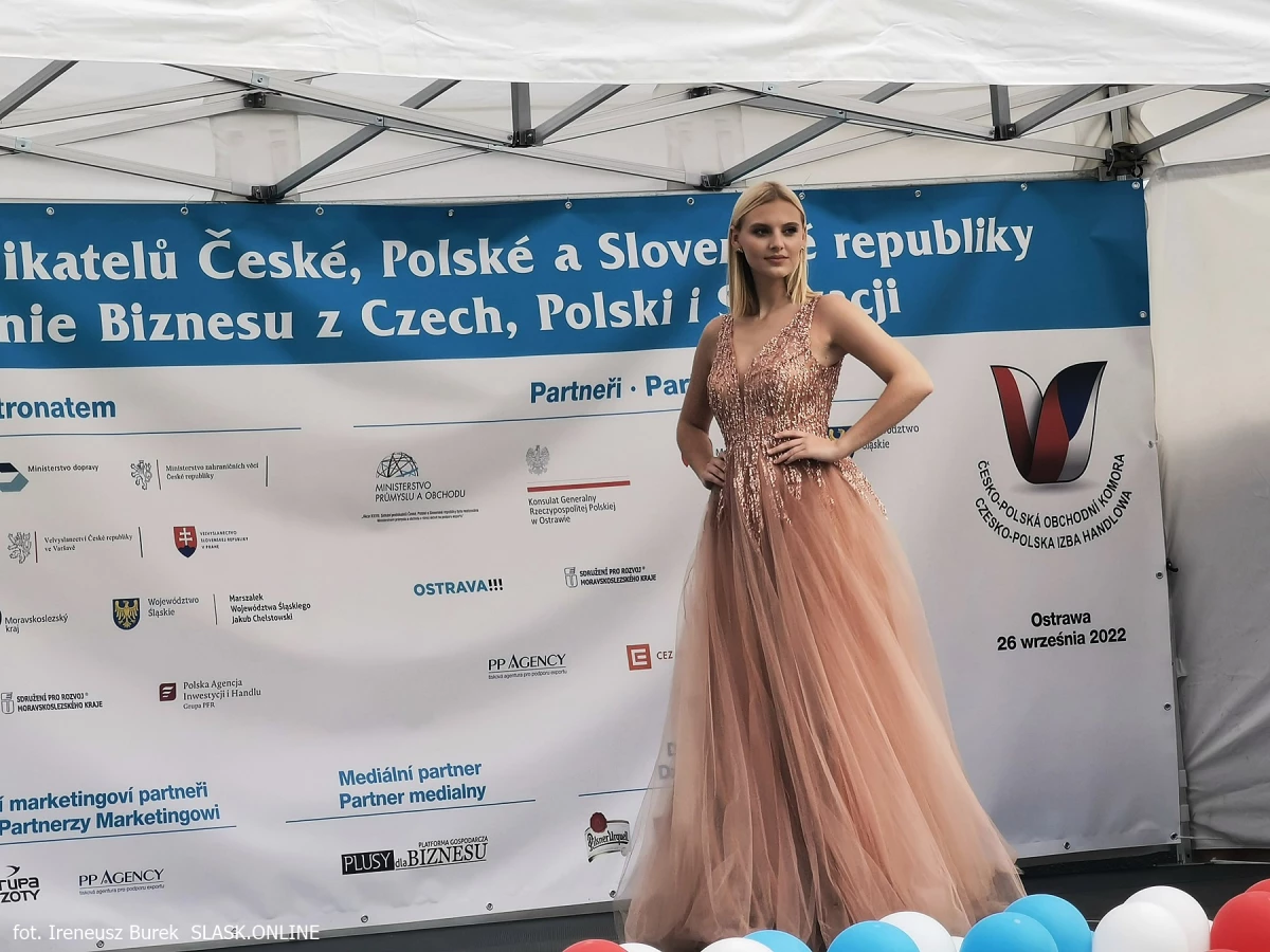 XXVIII Spotkania Biznesu z Czech, Polski i Słowacji w Ostrawie - energetyka i transport w Europie — 47