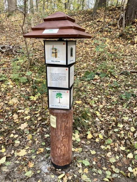 Ścieżka przyrodnicza nową atrakcją Arboretum Bramy Morawskiej — 1