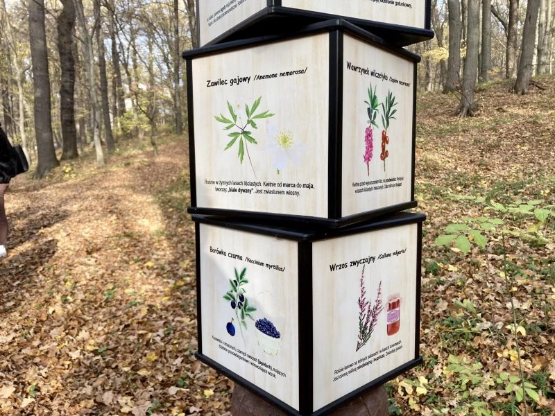 Ścieżka przyrodnicza nową atrakcją Arboretum Bramy Morawskiej — 12