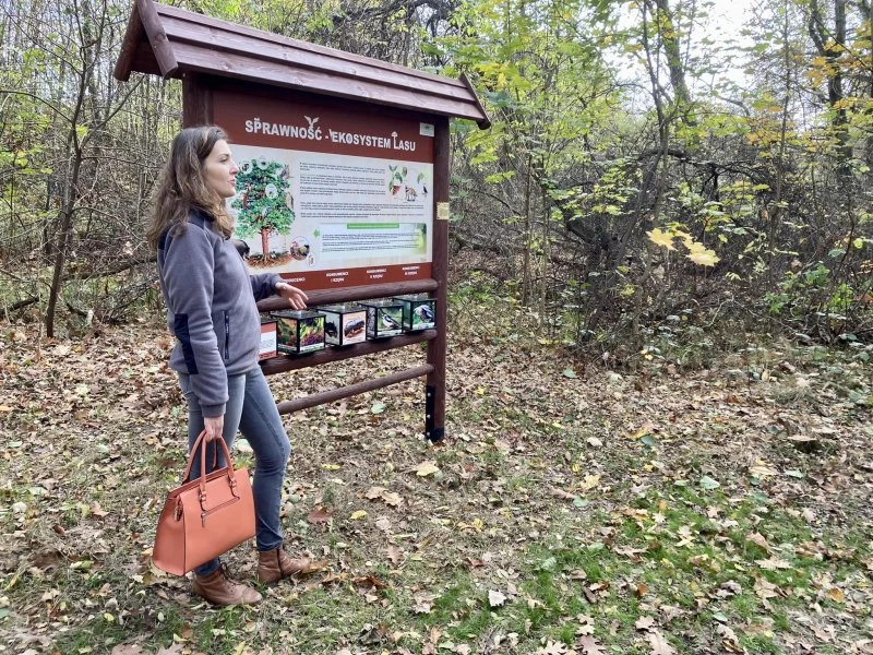 Ścieżka przyrodnicza nową atrakcją Arboretum Bramy Morawskiej — 2
