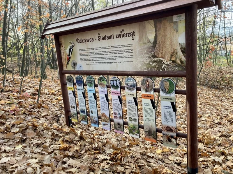 Ścieżka przyrodnicza nową atrakcją Arboretum Bramy Morawskiej — 10