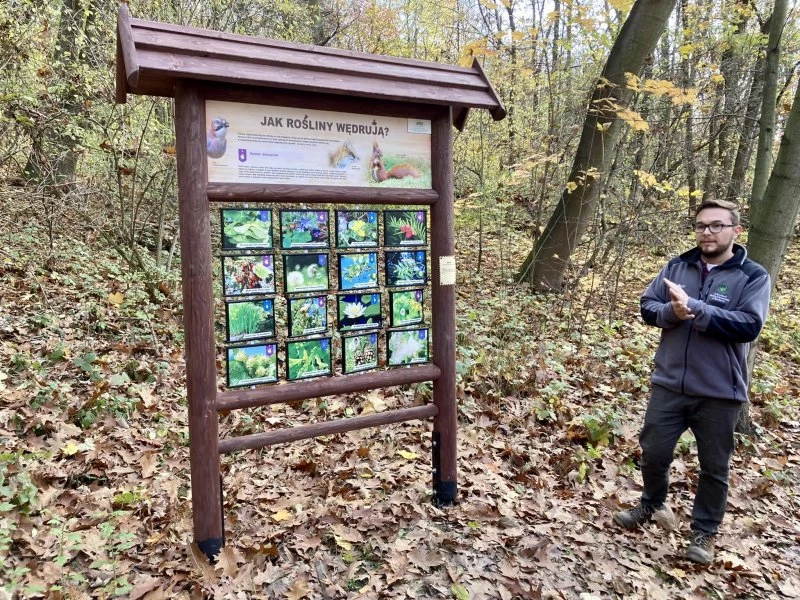 Ścieżka przyrodnicza nową atrakcją Arboretum Bramy Morawskiej — 4