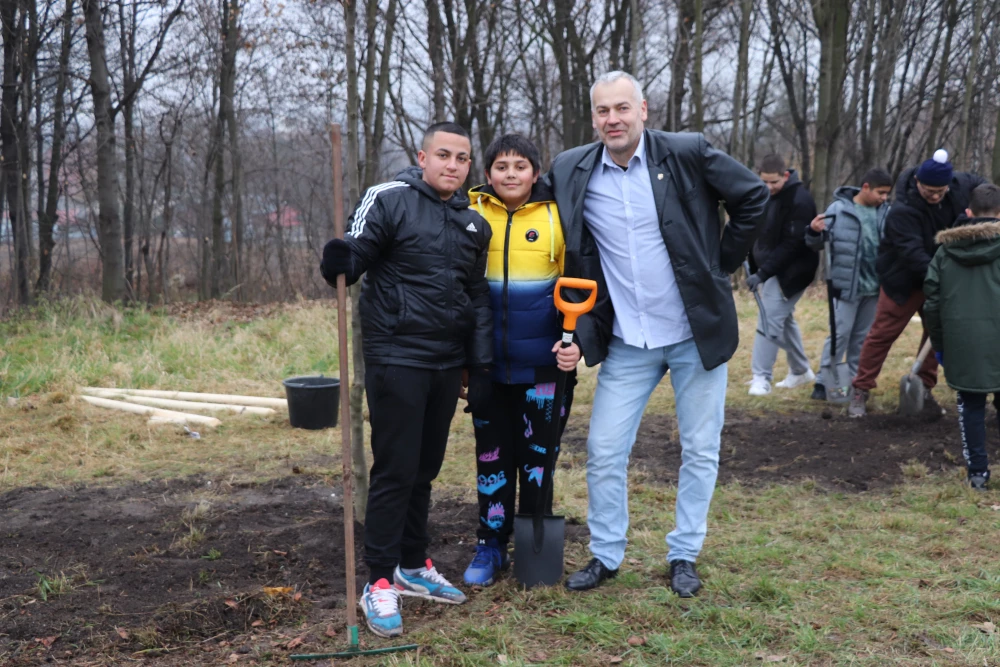 Przy wjeździe do Orłowej pojawiła się aleja drzew — 9