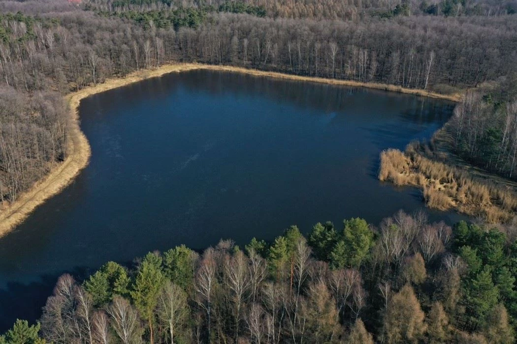 "Nie można budować pozornego dobra wszystkich kosztem drugiego człowieka". Spotkanie w sprawie CPK — 5