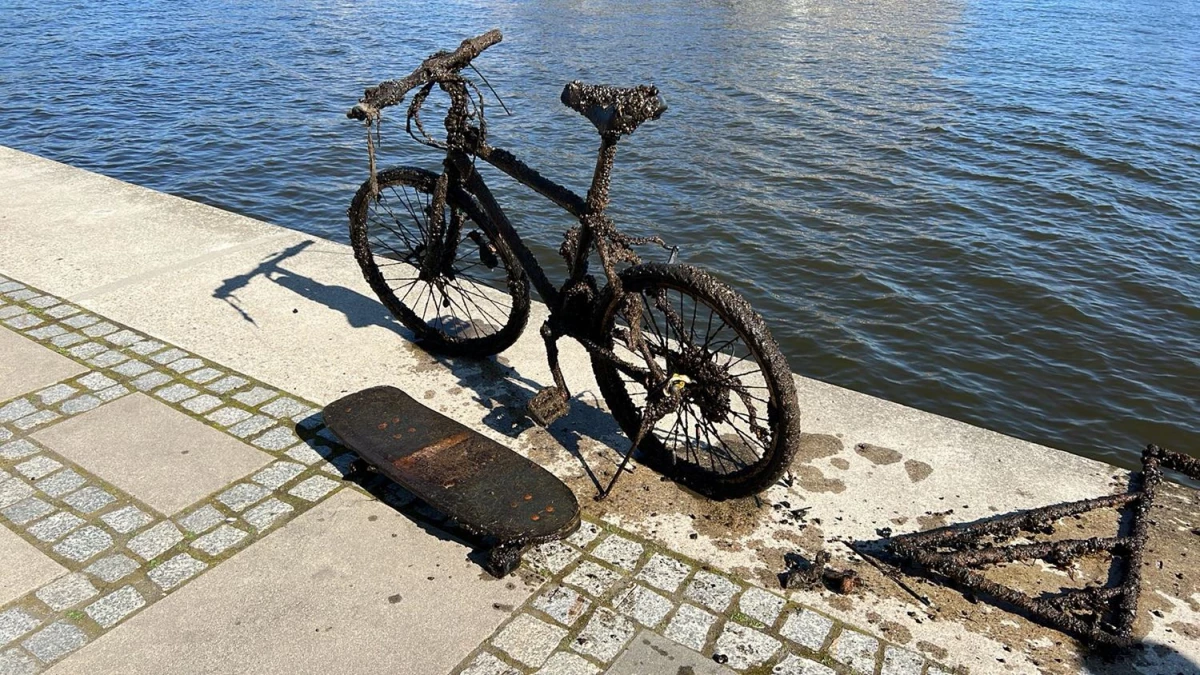 II Międzynarodowa Akcja Czysta Odra zakończona — 2
