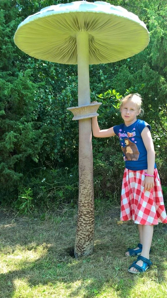 Ponad 75 tys. zł dla Arboretum Bramy Morawskiej na realizację dwóch projektów — 1