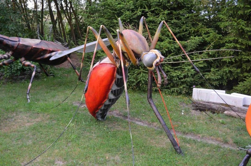 Ponad 75 tys. zł dla Arboretum Bramy Morawskiej na realizację dwóch projektów — 2