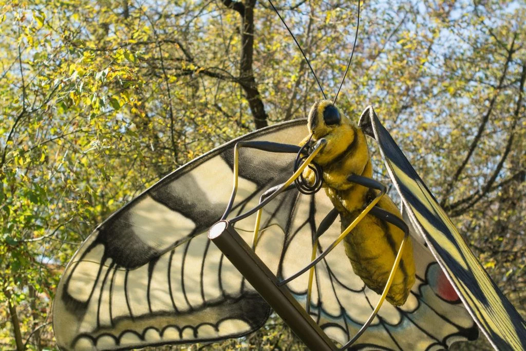 Ponad 75 tys. zł dla Arboretum Bramy Morawskiej na realizację dwóch projektów — 5