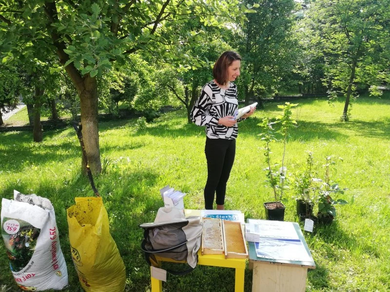 Raciborskie przedszkolaki sadzą krzewy dla pszczół — 4