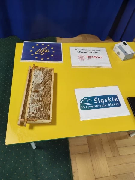 Raciborskie przedszkolaki sadzą krzewy dla pszczół — 7