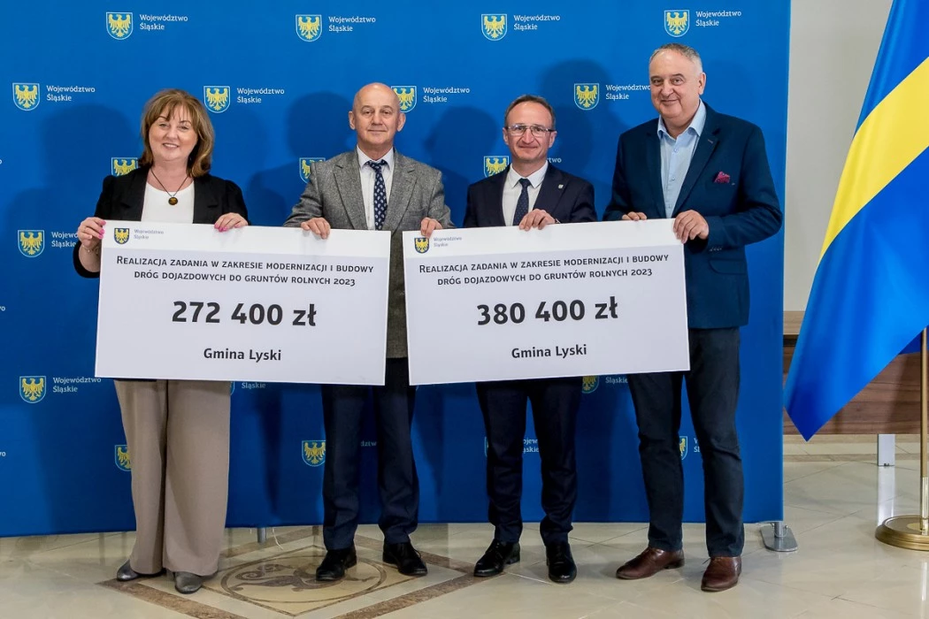 Powiat raciborski wyremontuje drogę w Strzybniku — 17