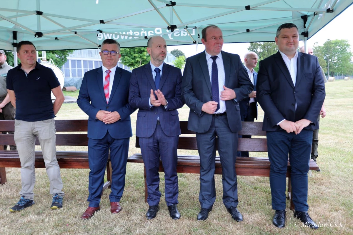 Ochrona lasów z dofinansowaniem WFOŚiGW — 8