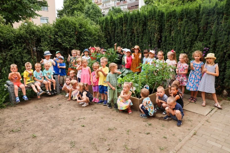 Raciborskie przedszkolaki zbierają plony ze swoich warzywników — 15