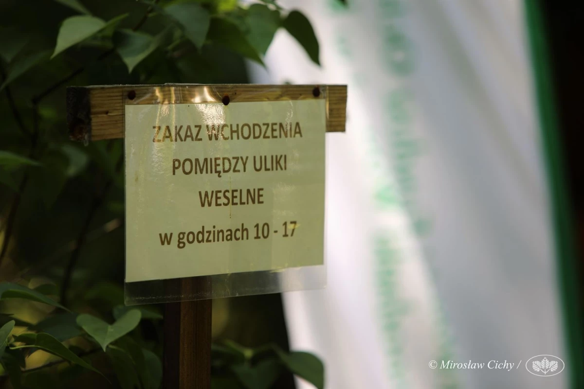 Ponad 100 tys. zł od WFOŚiGW na wymianę starych uli — 12