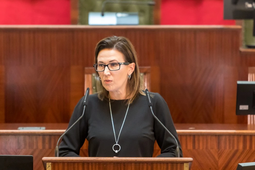 Projekt „Śląskie. Zawodowcy” podsumowany — 15