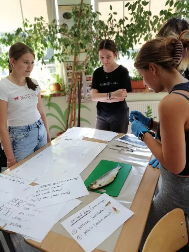 Młodzież z Węgier w ZSO nr 1 w Raciborzu — 4