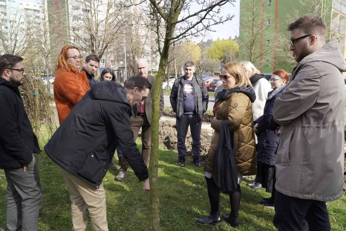 O ochronie drzew w raciborskim urzędzie miasta — 13