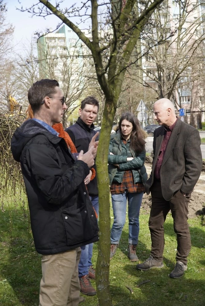 O ochronie drzew w raciborskim urzędzie miasta — 12