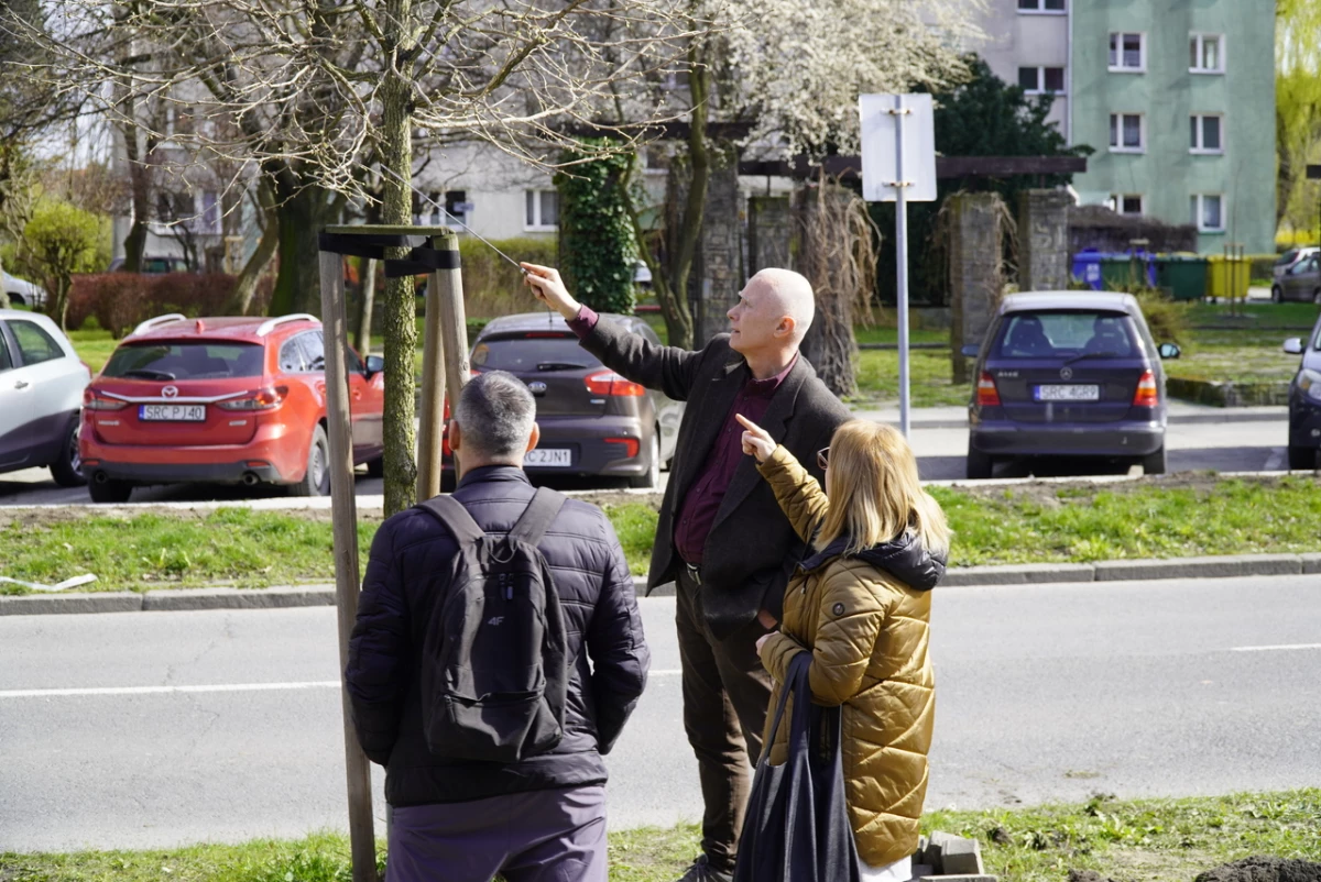 O ochronie drzew w raciborskim urzędzie miasta — 18