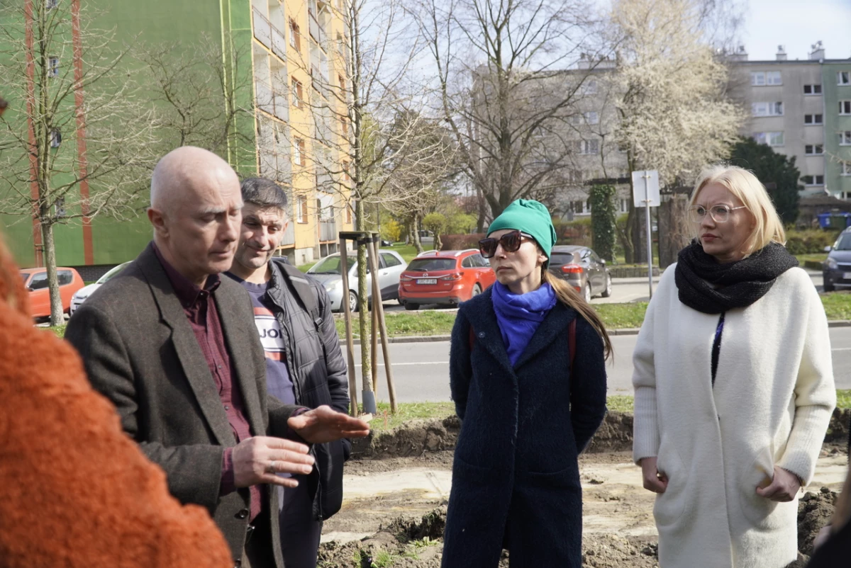 O ochronie drzew w raciborskim urzędzie miasta — 16