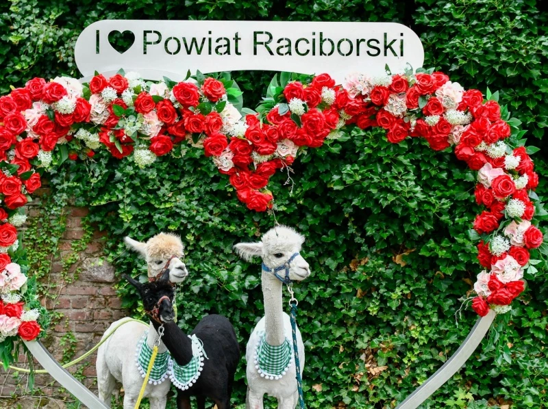 Zamkowe wakacje w siodle w Raciborzu — 2