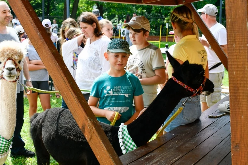 Zamkowe wakacje w siodle w Raciborzu — 5