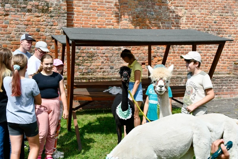 Zamkowe wakacje w siodle w Raciborzu — 6