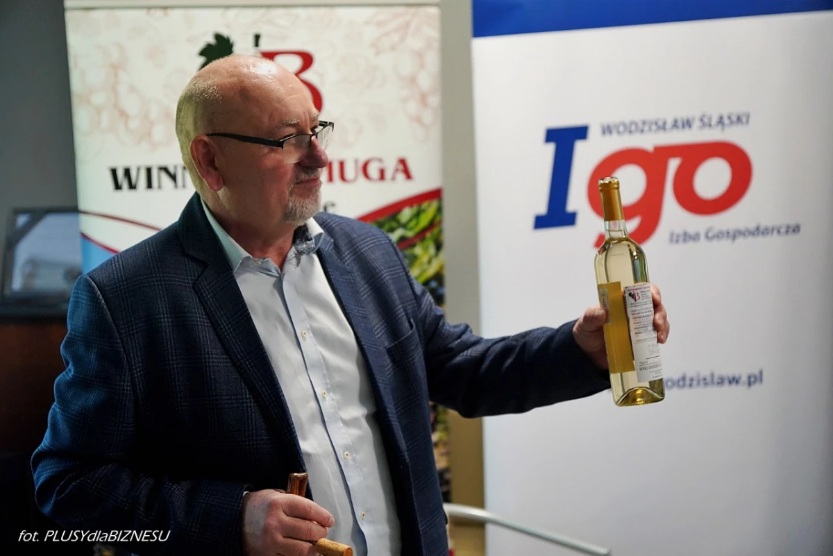 5 lat działalności Śląskiego Porozumienia Gospodarczego ŚLĄSK.ONLINE — 17