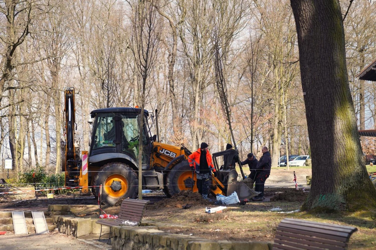 Park Zdrojowy w Jastrzębiu-Zdroju z nową aleją lipową — 1
