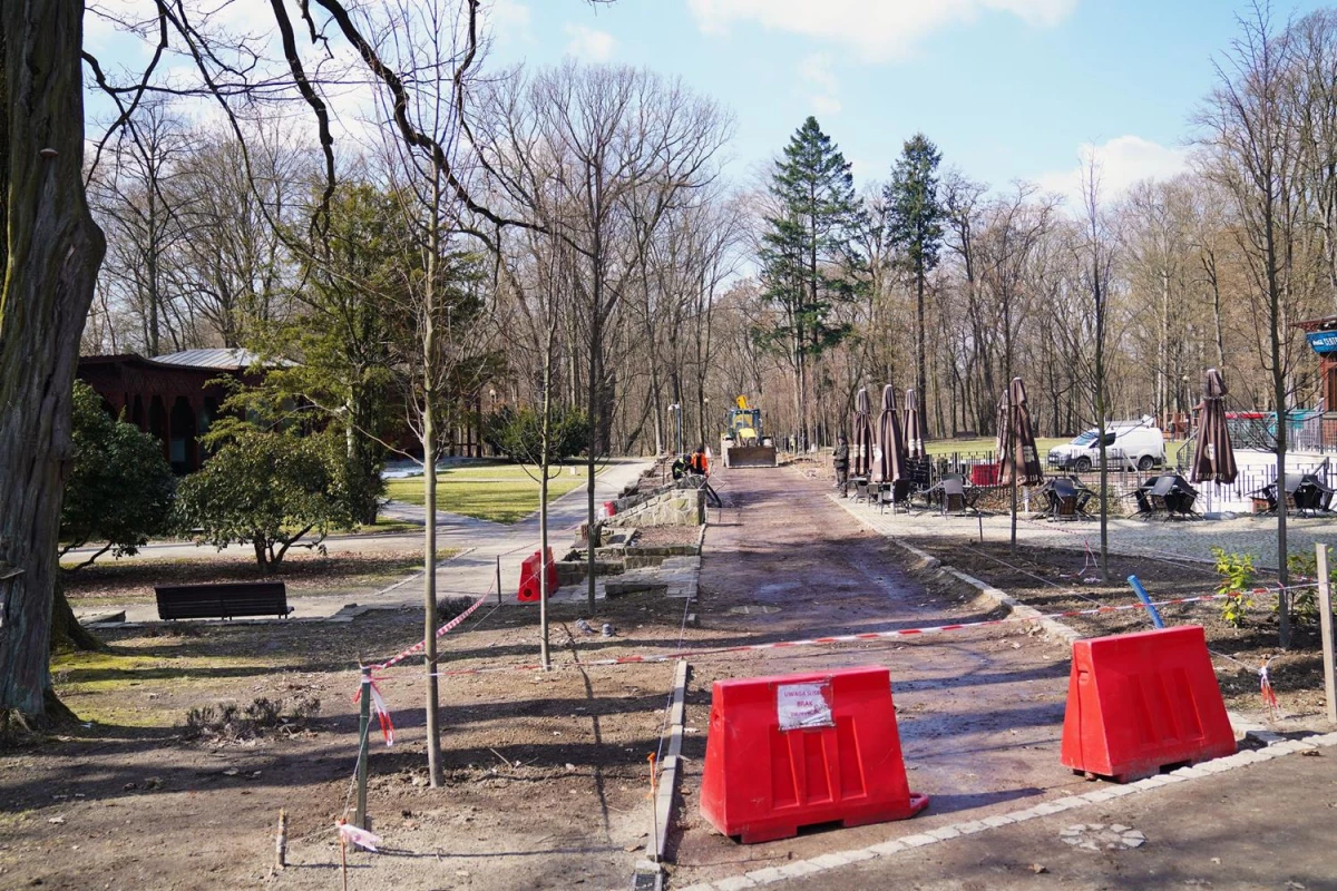 Park Zdrojowy w Jastrzębiu-Zdroju z nową aleją lipową — 5