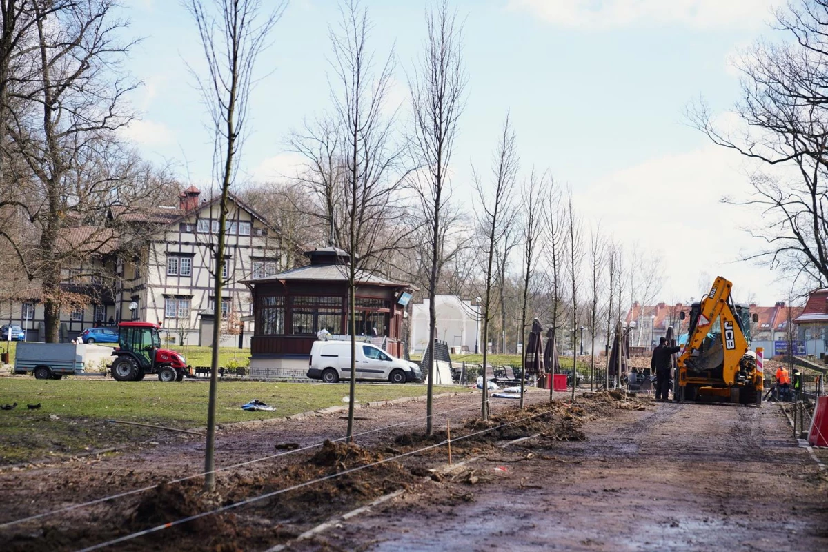 Park Zdrojowy w Jastrzębiu-Zdroju z nową aleją lipową — 3