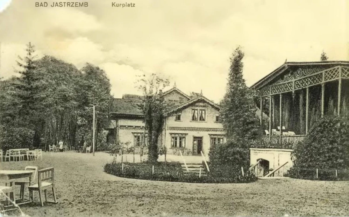 Park Zdrojowy w Jastrzębiu-Zdroju z nową aleją lipową — 9