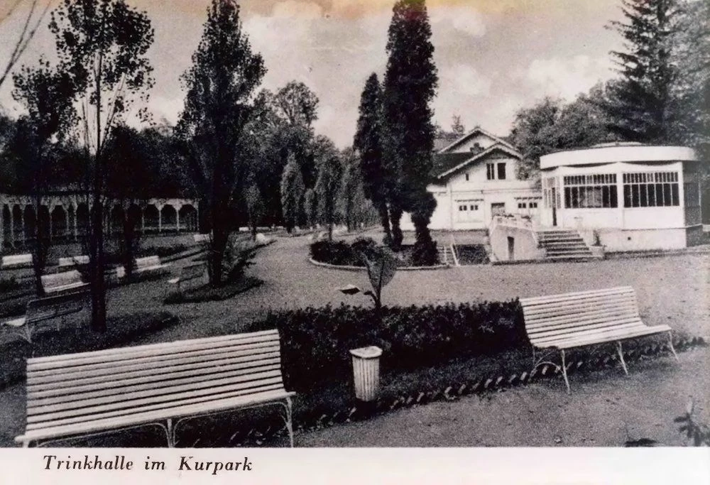 Park Zdrojowy w Jastrzębiu-Zdroju z nową aleją lipową — 7
