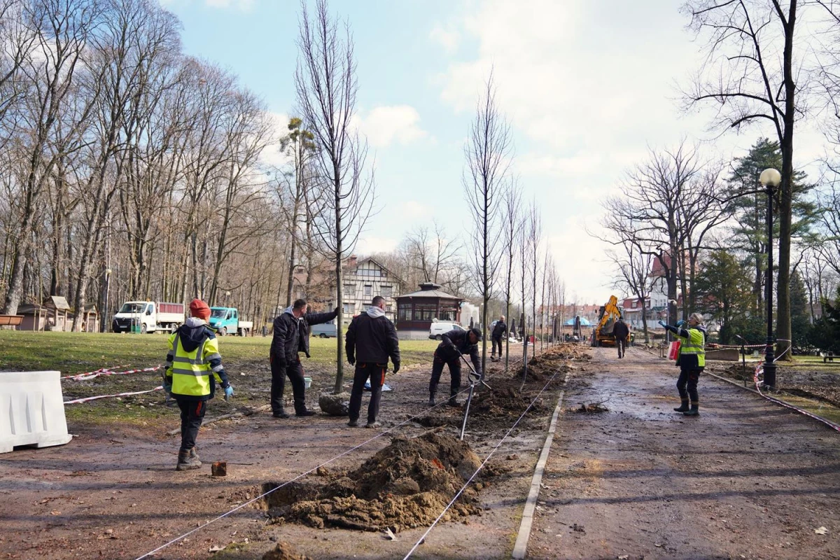 Park Zdrojowy w Jastrzębiu-Zdroju z nową aleją lipową — 2