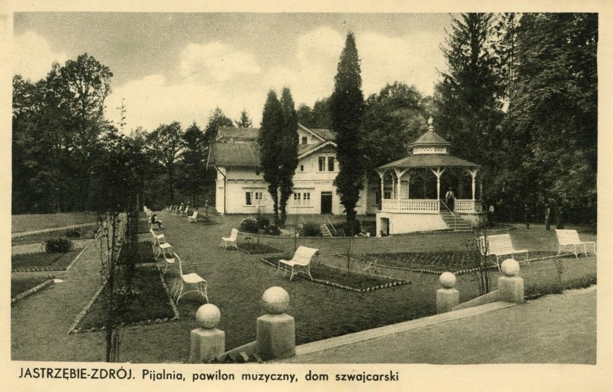 Park Zdrojowy w Jastrzębiu-Zdroju z nową aleją lipową — 8