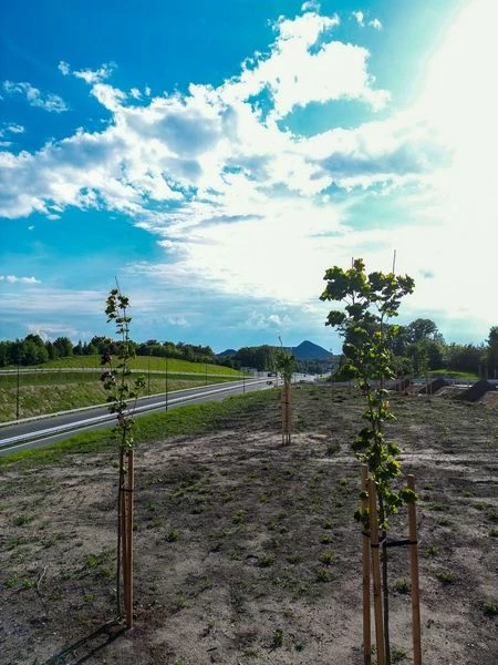 Nowy odcinek drogi regionalnej w Rybniku gotowy — 9